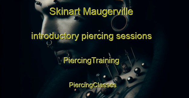 Skinart Maugerville introductory piercing sessions | PiercingTraining | PiercingClasses | SkinartTraining-Canada
