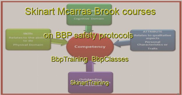 Skinart Mcarras Brook courses on BBP safety protocols | BbpTraining | BbpClasses | SkinartTraining-Canada