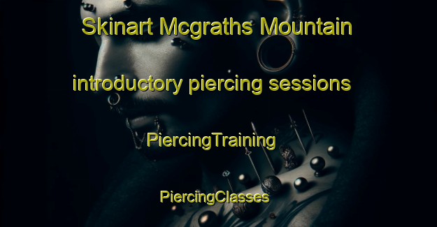 Skinart Mcgraths Mountain introductory piercing sessions | PiercingTraining | PiercingClasses | SkinartTraining-Canada
