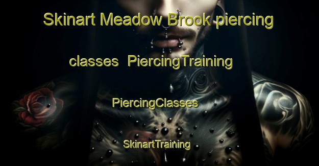 Skinart Meadow Brook piercing classes | PiercingTraining | PiercingClasses | SkinartTraining-Canada