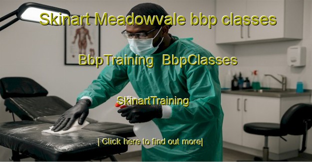 Skinart Meadowvale bbp classes | BbpTraining | BbpClasses | SkinartTraining-Canada
