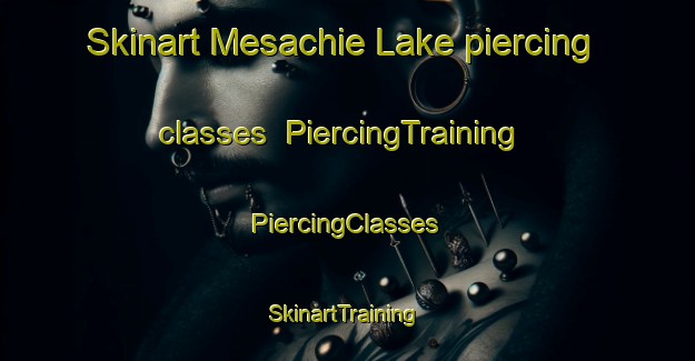 Skinart Mesachie Lake piercing classes | #PiercingTraining #PiercingClasses #SkinartTraining-Canada