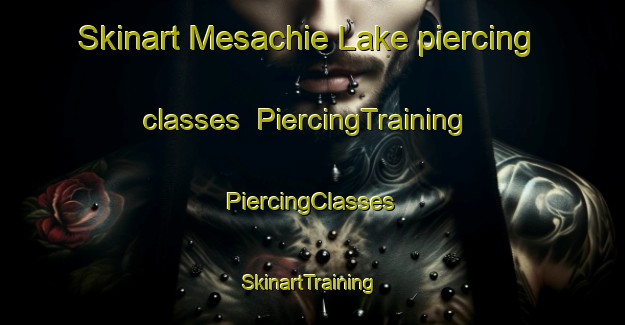 Skinart Mesachie Lake piercing classes | #PiercingTraining #PiercingClasses #SkinartTraining-Canada