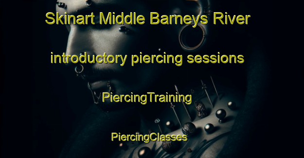 Skinart Middle Barneys River introductory piercing sessions | PiercingTraining | PiercingClasses | SkinartTraining-Canada