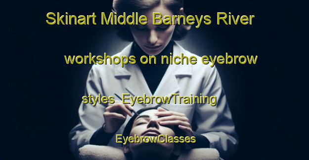 Skinart Middle Barneys River workshops on niche eyebrow styles | EyebrowTraining | EyebrowClasses | SkinartTraining-Canada