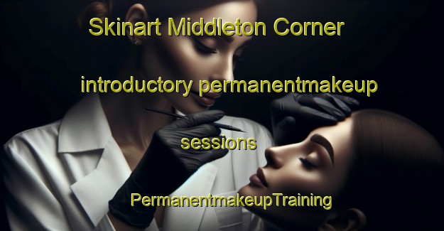 Skinart Middleton Corner introductory permanentmakeup sessions | #PermanentmakeupTraining #PermanentmakeupClasses #SkinartTraining-Canada