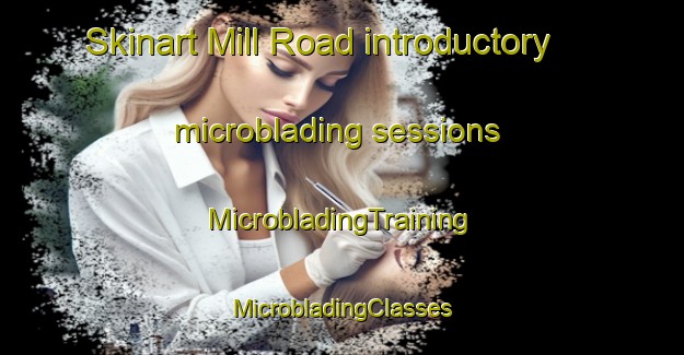 Skinart Mill Road introductory microblading sessions | #MicrobladingTraining #MicrobladingClasses #SkinartTraining-Canada