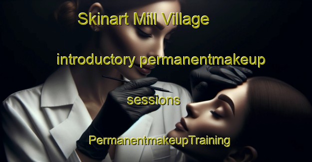 Skinart Mill Village introductory permanentmakeup sessions | PermanentmakeupTraining | PermanentmakeupClasses | SkinartTraining-Canada