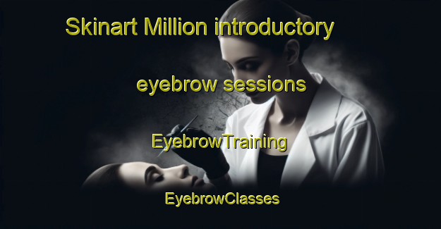 Skinart Million introductory eyebrow sessions | EyebrowTraining | EyebrowClasses | SkinartTraining-Canada