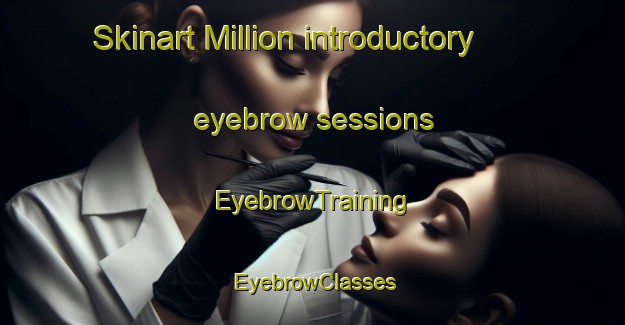Skinart Million introductory eyebrow sessions | EyebrowTraining | EyebrowClasses | SkinartTraining-Canada