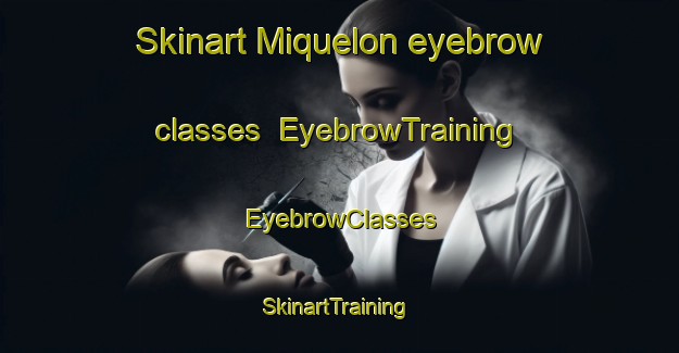 Skinart Miquelon eyebrow classes | EyebrowTraining | EyebrowClasses | SkinartTraining-Canada