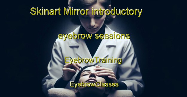 Skinart Mirror introductory eyebrow sessions | EyebrowTraining | EyebrowClasses | SkinartTraining-Canada