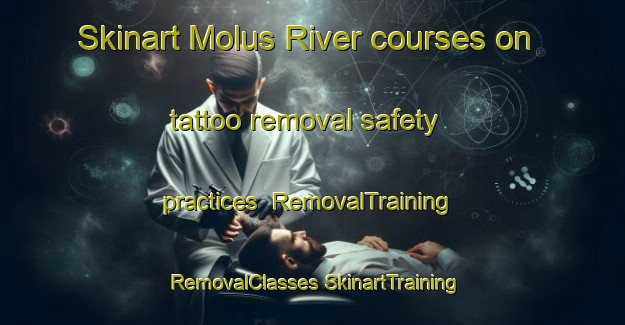 Skinart Molus River courses on tattoo removal safety practices | #RemovalTraining #RemovalClasses #SkinartTraining-Canada