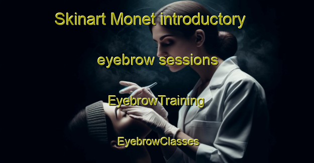 Skinart Monet introductory eyebrow sessions | EyebrowTraining | EyebrowClasses | SkinartTraining-Canada