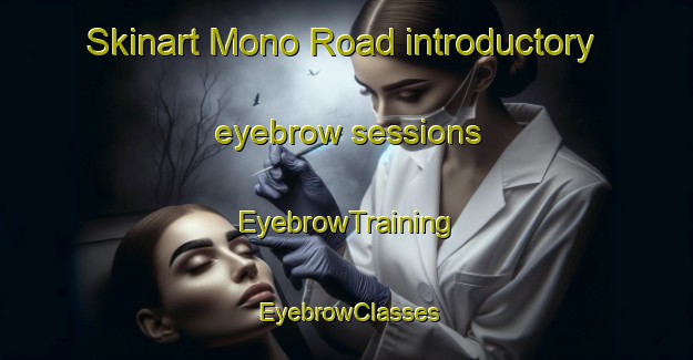 Skinart Mono Road introductory eyebrow sessions | EyebrowTraining | EyebrowClasses | SkinartTraining-Canada