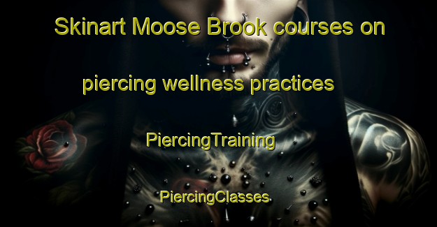 Skinart Moose Brook courses on piercing wellness practices | PiercingTraining | PiercingClasses | SkinartTraining-Canada