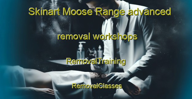 Skinart Moose Range advanced removal workshops | RemovalTraining | RemovalClasses | SkinartTraining-Canada