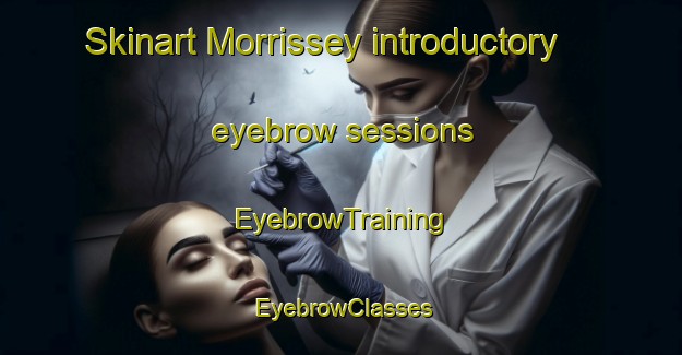 Skinart Morrissey introductory eyebrow sessions | EyebrowTraining | EyebrowClasses | SkinartTraining-Canada