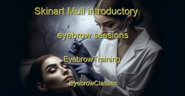 Skinart Mull introductory eyebrow sessions | EyebrowTraining | EyebrowClasses | SkinartTraining-Canada