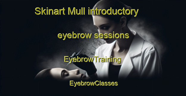 Skinart Mull introductory eyebrow sessions | EyebrowTraining | EyebrowClasses | SkinartTraining-Canada