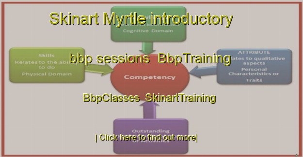 Skinart Myrtle introductory bbp sessions | BbpTraining | BbpClasses | SkinartTraining-Canada