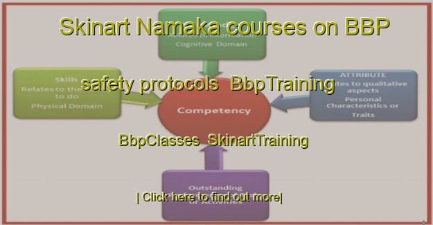 Skinart Namaka courses on BBP safety protocols | BbpTraining | BbpClasses | SkinartTraining-Canada