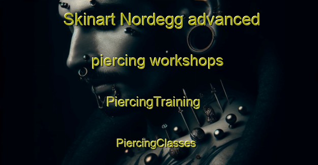 Skinart Nordegg advanced piercing workshops | PiercingTraining | PiercingClasses | SkinartTraining-Canada