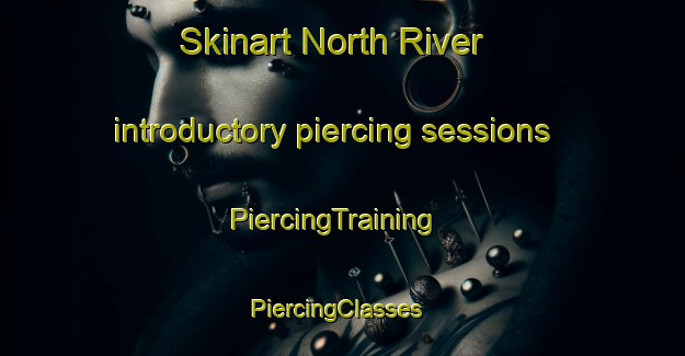 Skinart North River introductory piercing sessions | PiercingTraining | PiercingClasses | SkinartTraining-Canada
