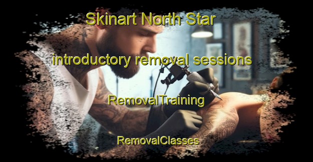 Skinart North Star introductory removal sessions | RemovalTraining | RemovalClasses | SkinartTraining-Canada