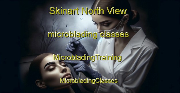 Skinart North View microblading classes | MicrobladingTraining | MicrobladingClasses | SkinartTraining-Canada