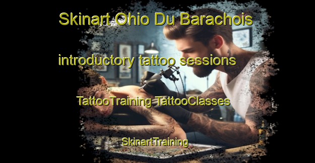 Skinart Ohio Du Barachois introductory tattoo sessions | #TattooTraining #TattooClasses #SkinartTraining-Canada