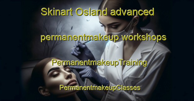 Skinart Osland advanced permanentmakeup workshops | PermanentmakeupTraining | PermanentmakeupClasses | SkinartTraining-Canada