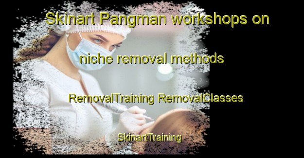 Skinart Pangman workshops on niche removal methods | #RemovalTraining #RemovalClasses #SkinartTraining-Canada