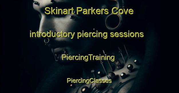 Skinart Parkers Cove introductory piercing sessions | #PiercingTraining #PiercingClasses #SkinartTraining-Canada