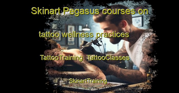 Skinart Pegasus courses on tattoo wellness practices | TattooTraining | TattooClasses | SkinartTraining-Canada
