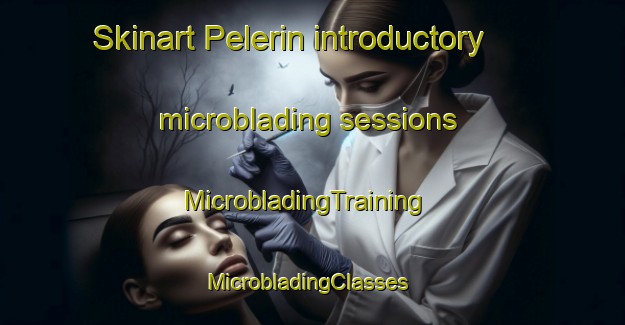 Skinart Pelerin introductory microblading sessions | MicrobladingTraining | MicrobladingClasses | SkinartTraining-Canada
