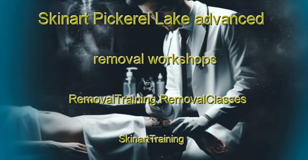 Skinart Pickerel Lake advanced removal workshops | #RemovalTraining #RemovalClasses #SkinartTraining-Canada