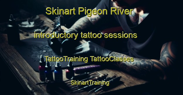 Skinart Pigeon River introductory tattoo sessions | #TattooTraining #TattooClasses #SkinartTraining-Canada