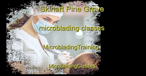 Skinart Pine Grove microblading classes | MicrobladingTraining | MicrobladingClasses | SkinartTraining-Canada
