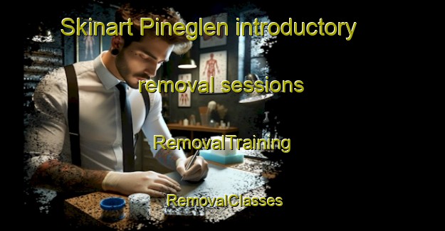 Skinart Pineglen introductory removal sessions | RemovalTraining | RemovalClasses | SkinartTraining-Canada