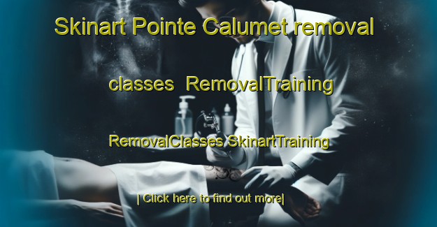 Skinart Pointe Calumet removal classes | #RemovalTraining #RemovalClasses #SkinartTraining-Canada