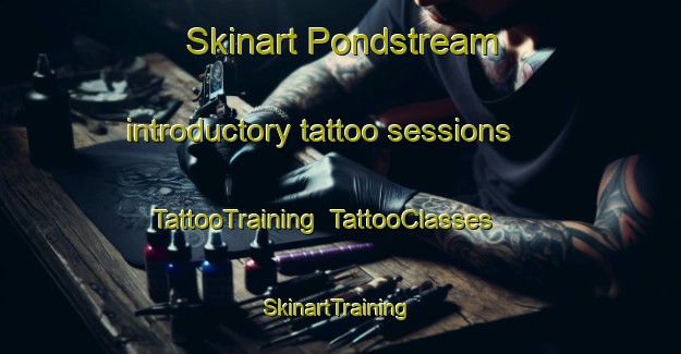 Skinart Pondstream introductory tattoo sessions | TattooTraining | TattooClasses | SkinartTraining-Canada