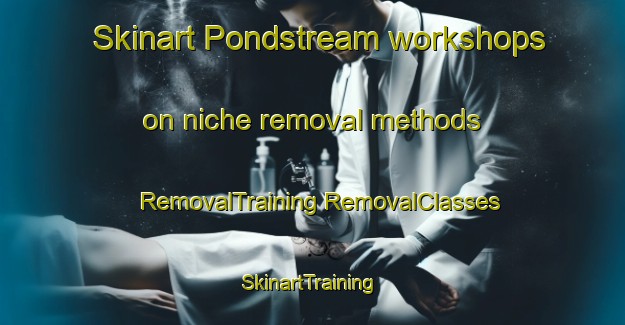 Skinart Pondstream workshops on niche removal methods | #RemovalTraining #RemovalClasses #SkinartTraining-Canada