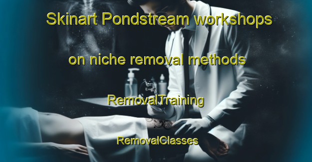 Skinart Pondstream workshops on niche removal methods | RemovalTraining | RemovalClasses | SkinartTraining-Canada