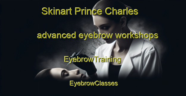 Skinart Prince Charles advanced eyebrow workshops | EyebrowTraining | EyebrowClasses | SkinartTraining-Canada
