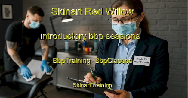 Skinart Red Willow introductory bbp sessions | BbpTraining | BbpClasses | SkinartTraining-Canada