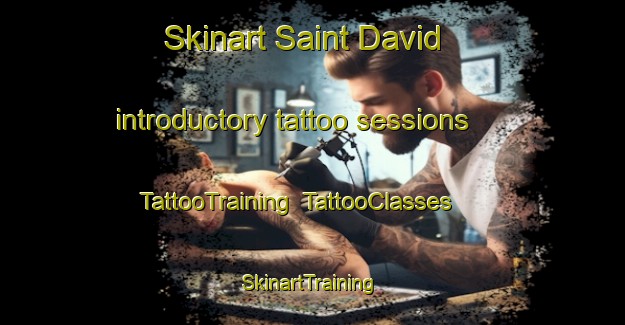 Skinart Saint David introductory tattoo sessions | TattooTraining | TattooClasses | SkinartTraining-Canada