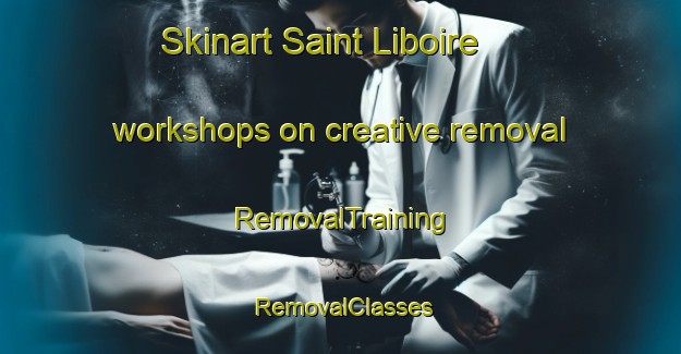 Skinart Saint Liboire workshops on creative removal | RemovalTraining | RemovalClasses | SkinartTraining-Canada