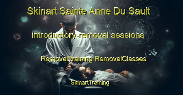 Skinart Sainte Anne Du Sault introductory removal sessions | #RemovalTraining #RemovalClasses #SkinartTraining-Canada