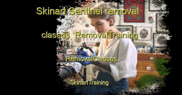 Skinart Sentinel removal classes | RemovalTraining | RemovalClasses | SkinartTraining-Canada